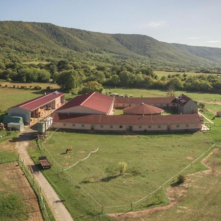 Tótvár lovas szálláshely Kovagotottos Esterno foto