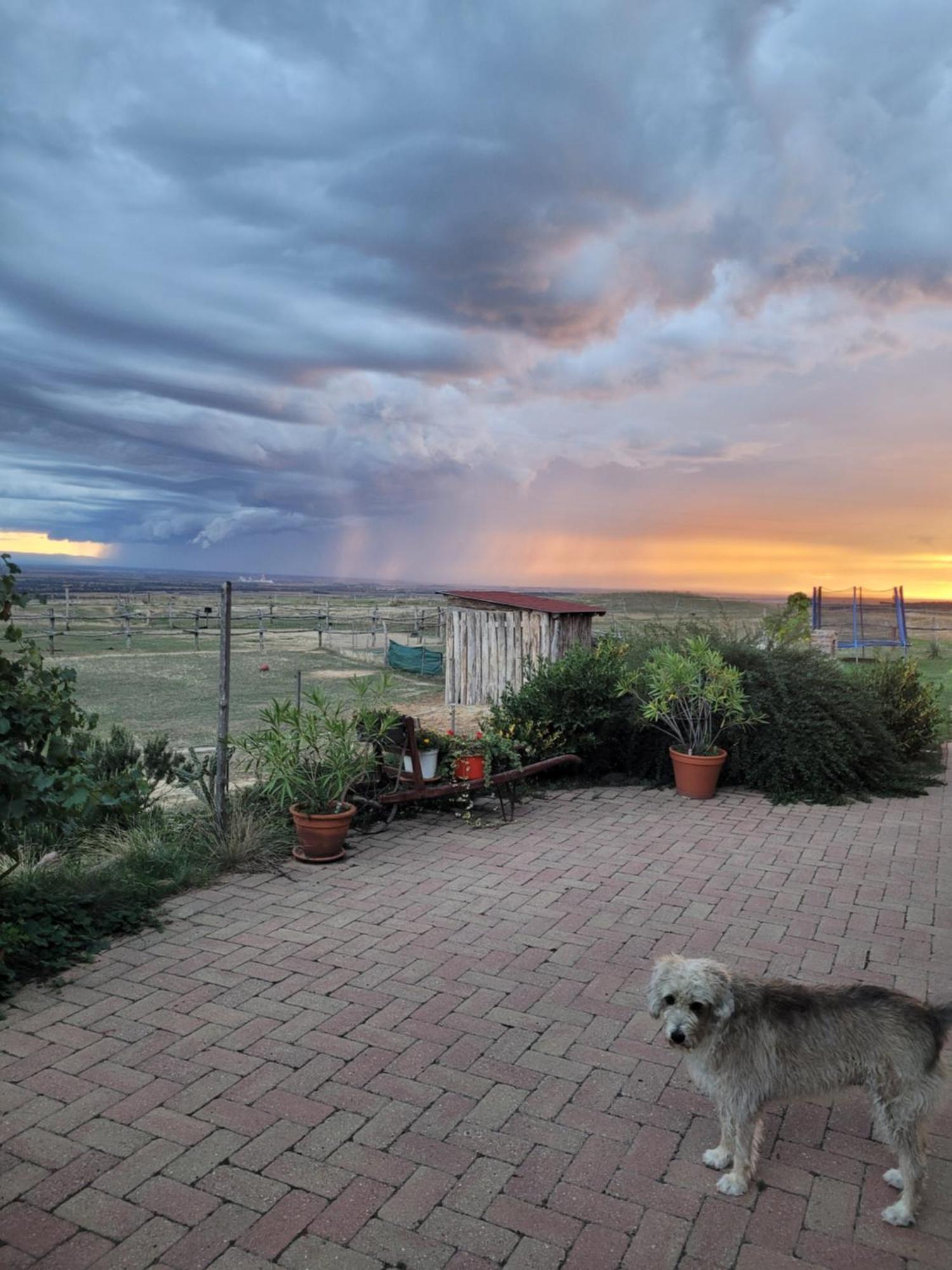 Tótvár lovas szálláshely Kovagotottos Esterno foto