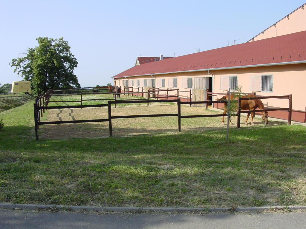Tótvár lovas szálláshely Kovagotottos Esterno foto