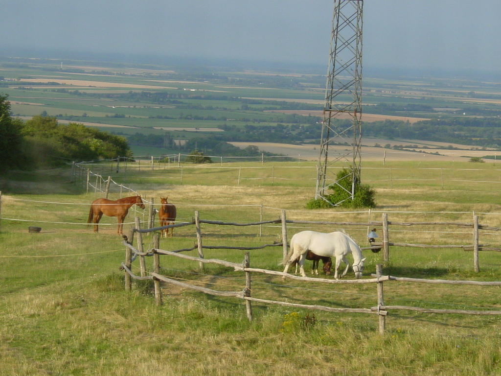 Tótvár lovas szálláshely Kovagotottos Esterno foto